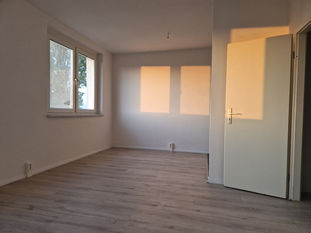 Richard-Paulick-Straße 5, 06124 Halle (Saale)