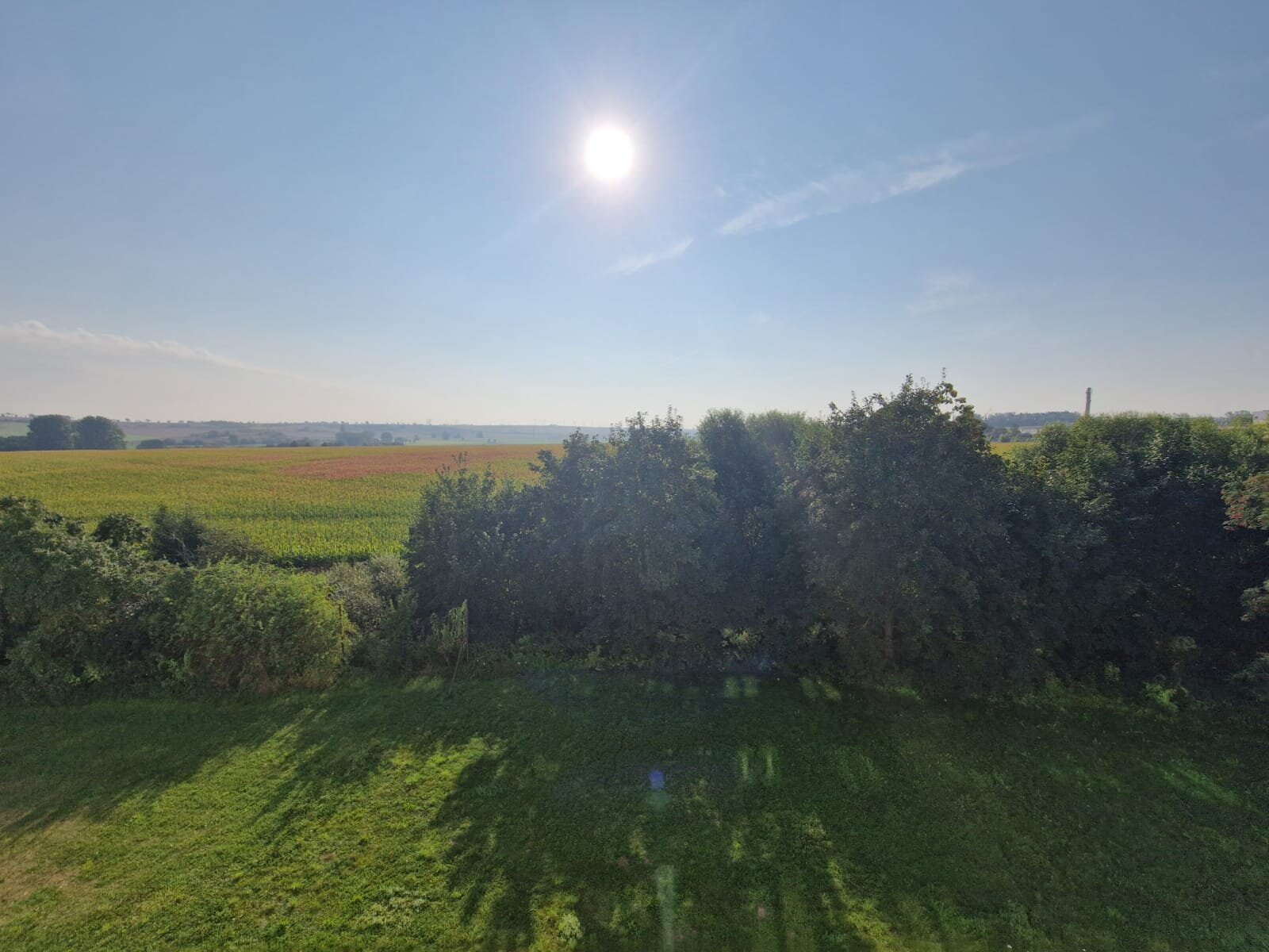 Thomas-Mann-Straße 14, 39365 Wefensleben