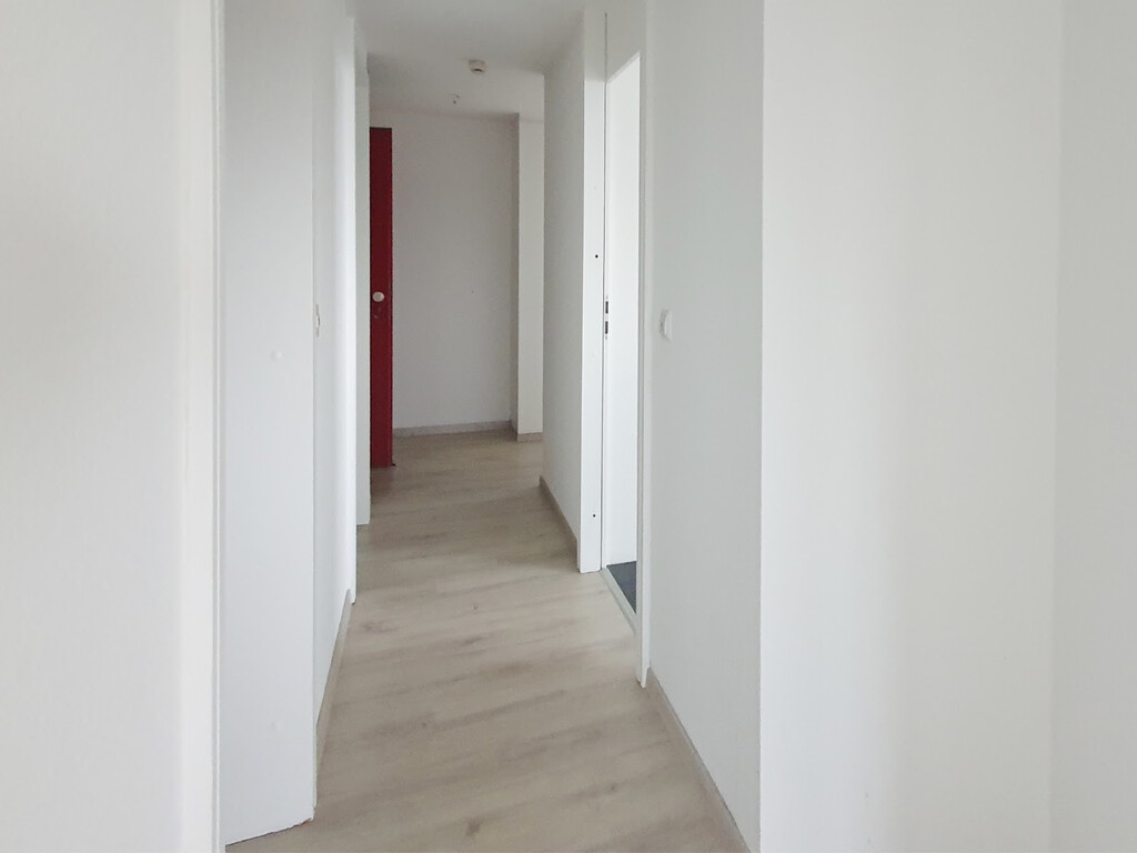 Neckarpromenade 9, 68167 Mannheim