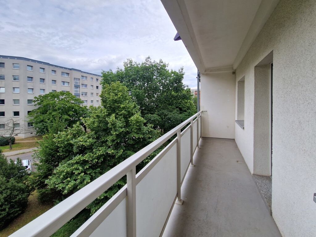 Herzogswalder Straße 18, 01169 Dresden