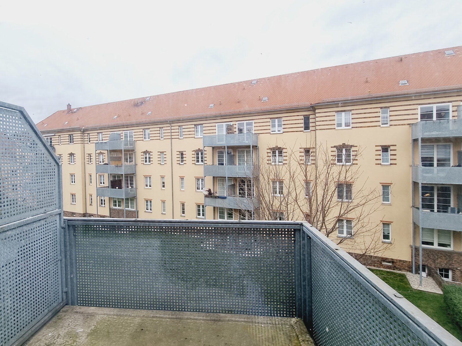 Wilhelm-Liebknecht-Straße 93, 01257 Dresden